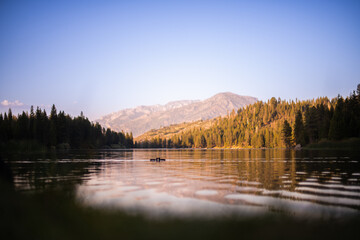 birds on lake at sunset