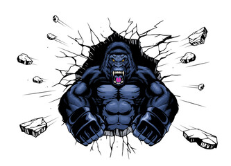 Wall Mural - roaring angry gorilla ramming through broken wall
