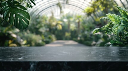 Wall Mural - A serene greenhouse with lush plants and a dark stone countertop in the foreground.