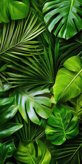Aufkleber - A close up of green leaves with a lush green background. The leaves are large and leafy, giving the impression of a tropical forest. Concept of tranquility and natural beauty
