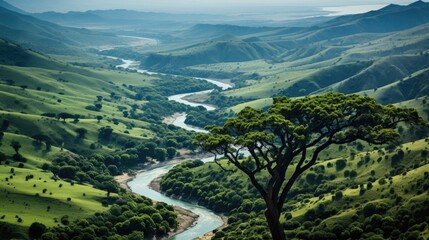 Sticker - River and green forest 