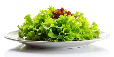 Wall Mural - Isolated lettuce salad on a white plate, fresh, healthy, green, vegan, organic, meal, food, vegetable, diet, clean eating