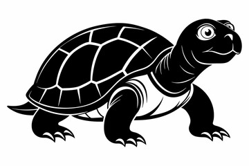 Wall Mural - Turtle vector art and illustration