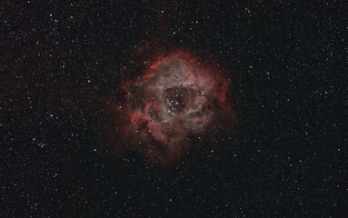 rosette nebula