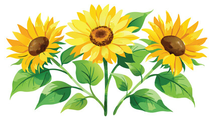 Wall Mural - Watercolor Sunflowers with Green Leaves Vector Illustration on white background.