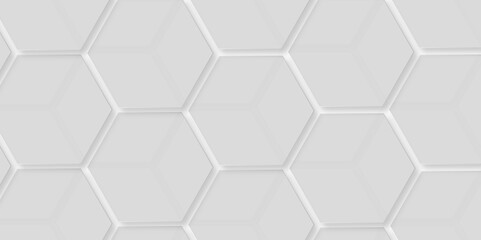 Wall Mural - Abstract white hexagonal geometric background with shadow. 3d hexagonal structure futuristic gray background and embossed hexagon abstract with hexagon background. Abstract white lines background. 