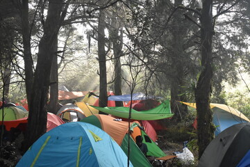 vacation to climb Mount Prau in Dieng, Indonesia. This mountain is busy and beautiful.