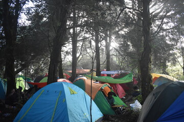 vacation to climb Mount Prau in Dieng, Indonesia. This mountain is busy and beautiful.