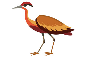 Wall Mural - Jacana Bird vector art  illustration