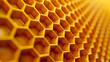 © Elnare - Close-up of a golden honeycomb, abstract background.