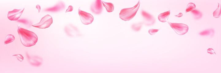 Wall Mural - Pastel background with pink flower petal for spring time and spa service design. Realistic 3d vector falling and flying rose or sakura blossom leaves. Floral bloom elements for romantic concept.