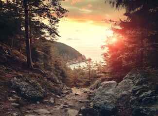 Wall Mural - Forest Path Leading to the Ocean at Sunset