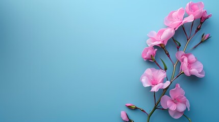 Wall Mural - Pink Flowers on a Light Blue Background