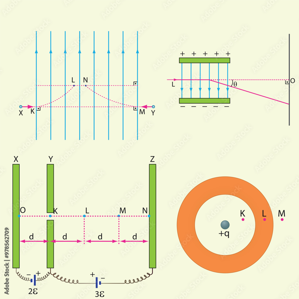 Optics, reflection lesson forms, Light Reflection infographic diagram ...