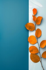 Sticker - Autumn Leaves on Blue and White Background