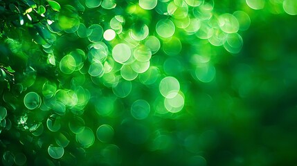Poster - Abstract Green Nature Background Summer Park in Bokeh : Generative AI