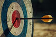 © Valeryi - the arrow sticks out in the center of the target - the embodiment of a sports concept
