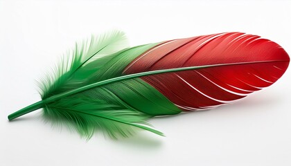 Red and Green Feather