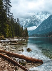 Wall Mural - Mountain Lake Shore With Logs