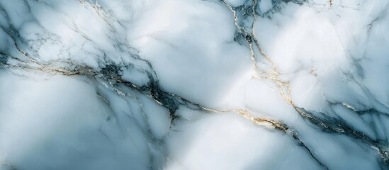 Wall Mural - Marble Texture with Golden Veins