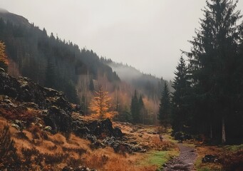 Canvas Print - Misty Forest Path in the Mountains with Autumn Colors