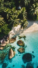 Sticker - Tropical Beach with Palm Trees and Clear Water