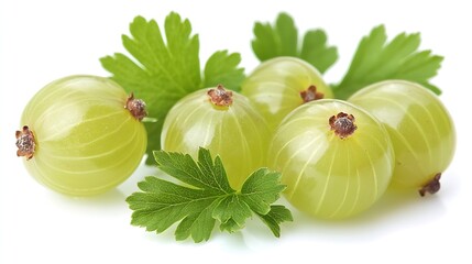 Poster - Gooseberry Berries Isolated on White Background : Generative AI