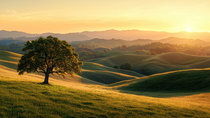 serene landscape at sunset with rolling hills, an oak tree in the foreground, and warm golden sunlig