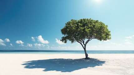 Wall Mural - A single tree on a sandy beach, its shadow stretching out under the midday sun. Focus on the tree and natural lighting. No people.