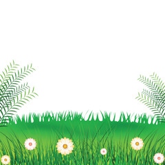 Wall Mural - Beautiful Floral Field Background in Spring Time.