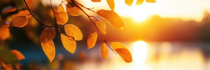 Wall Mural - Captivating autumn landscape with vibrant golden leaves bathed in the warm radiant glow of the setting sun  A serene and tranquil scene that evokes a sense of coziness and wonder