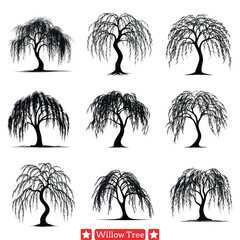 Canvas Print - Sylvan Elegance  Willow Tree Vector Collection for Timeless Natural Artistry