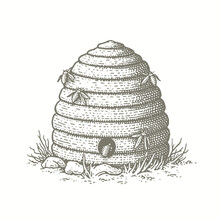 Vintage Illustration Hive Old Free Stock Photo - Public Domain Pictures