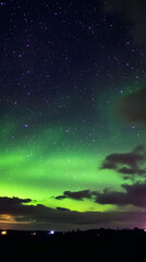 Wall Mural - the northern lights at the night sky with vibrant hues of green, purple glowing