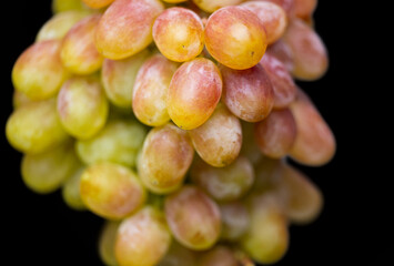 Poster - bunch of grapes