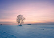 © AmazingAerialAgency - Aerial view of serene winter landscape with snow-covered trees at dusk, Kosmolow, Poland.