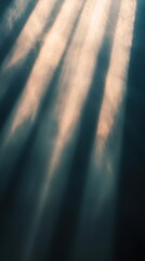 Wall Mural - sunlight beams through a window