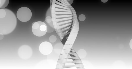 Wall Mural - image of dna strand and spots of light on dark background
