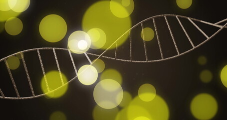 Wall Mural - image of dna strand and spots of light on dark background