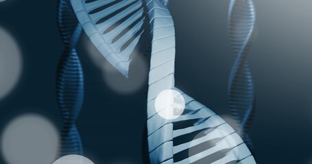Wall Mural - image of dna strand and spots of light on dark background