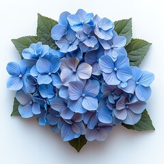 Wall Mural - A vibrant arrangement of blue hydrangea flowers with green leaves.