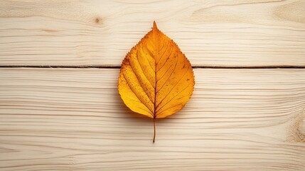 Wall Mural - Autumn Leaf on Wooden Background