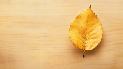 Sticker - Autumn Leaves on Wooden Background