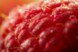 © Piotr - Macro shot of raspberry surface
