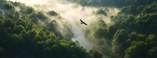 Wall Mural - A bird's eye view of the misty forest, with an eagle soaring above it. The river flows through the valley surrounded by dense green trees