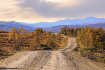 Fall in the Forollhogna National Park, Norway