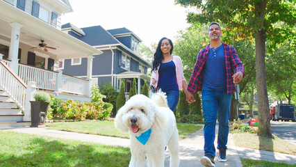 Wall Mural - Low Angle Shot Of Couple Walking Dog Along Suburban Street