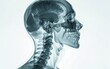 © Антон Федченко - clean and beauty modern x-ray human head, bones, skelet