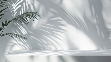 Wall Mural - blank minimal white counter podium, soft beautiful dappled sunlight, tropical palm foliage leaf shad