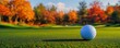 © SITTAKAN - Golf ball on the green of a picturesque autumn course, capturing the tranquility of fall sports, golf course autumn